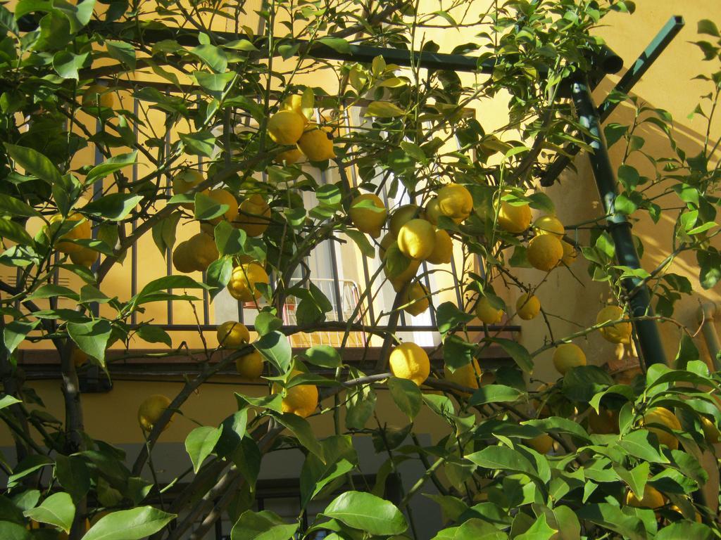 Holiday Home Il Borgo Degli Agrumi Uzzano 외부 사진